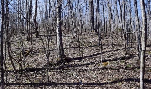 Photo #39 of SOLD property in 2245 Glenland Rd , Hurt, VA 65.0 acres