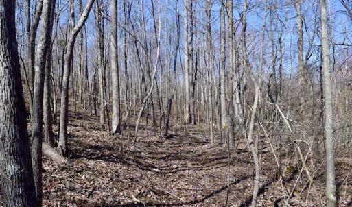 Photo #40 of SOLD property in 2245 Glenland Rd , Hurt, VA 65.0 acres