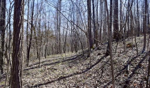 Photo #43 of SOLD property in 2245 Glenland Rd , Hurt, VA 65.0 acres