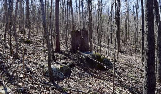 Photo #44 of SOLD property in 2245 Glenland Rd , Hurt, VA 65.0 acres