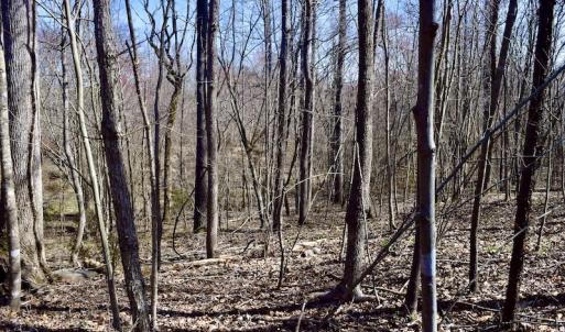 Photo #45 of SOLD property in 2245 Glenland Rd , Hurt, VA 65.0 acres