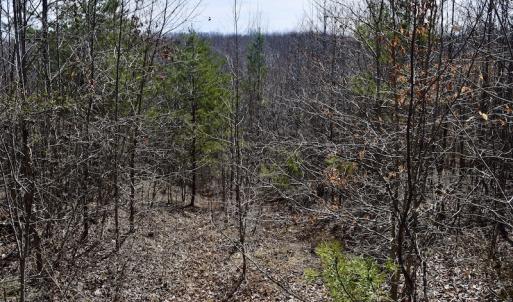 Photo #46 of SOLD property in 2245 Glenland Rd , Hurt, VA 65.0 acres