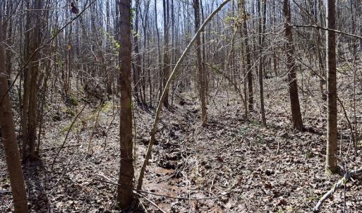 Photo #47 of SOLD property in 2245 Glenland Rd , Hurt, VA 65.0 acres