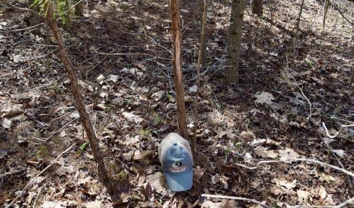 Photo #48 of SOLD property in 2245 Glenland Rd , Hurt, VA 65.0 acres