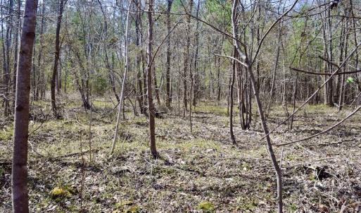 Photo #49 of SOLD property in 2245 Glenland Rd , Hurt, VA 65.0 acres