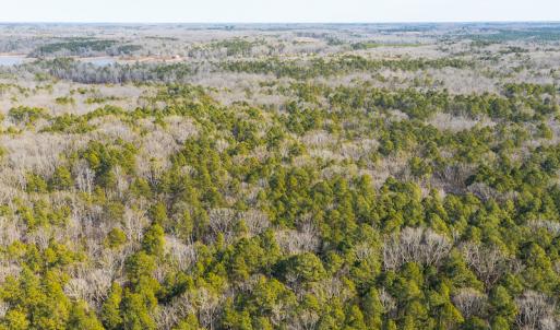 Photo #41 of SOLD property in 9610 Lake Road, Bullock, NC 112.8 acres