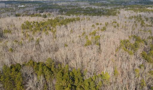 Photo #42 of SOLD property in 9610 Lake Road, Bullock, NC 112.8 acres