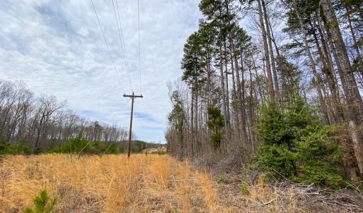 Photo #43 of SOLD property in 9610 Lake Road, Bullock, NC 112.8 acres