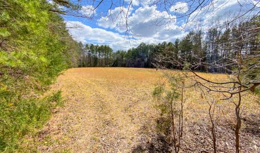 Photo #44 of SOLD property in 9610 Lake Road, Bullock, NC 112.8 acres