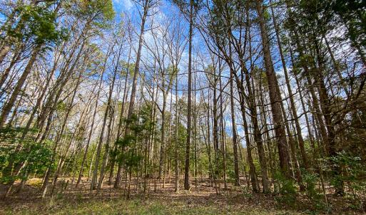 Photo #45 of SOLD property in 9610 Lake Road, Bullock, NC 112.8 acres