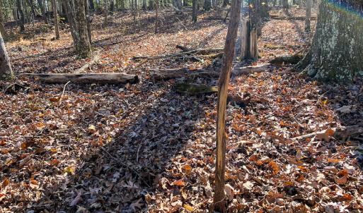 Photo #36 of SOLD property in 9610 Lake Road, Bullock, NC 112.8 acres