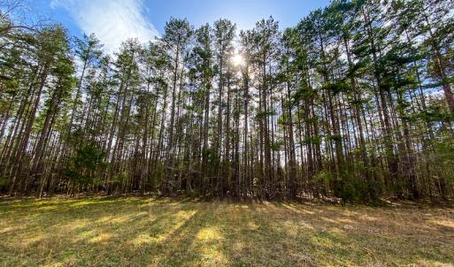 Photo #46 of SOLD property in 9610 Lake Road, Bullock, NC 112.8 acres