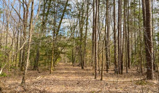 Photo #48 of SOLD property in 9610 Lake Road, Bullock, NC 112.8 acres