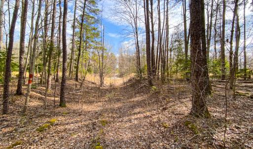 Photo #49 of SOLD property in 9610 Lake Road, Bullock, NC 112.8 acres