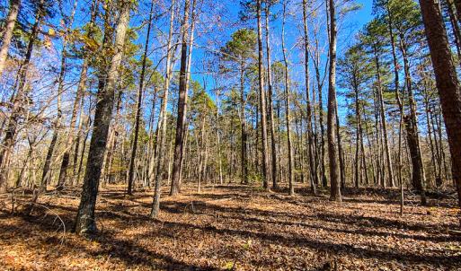 Photo #37 of SOLD property in 9610 Lake Road, Bullock, NC 112.8 acres