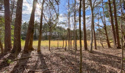 Photo #51 of SOLD property in 9610 Lake Road, Bullock, NC 112.8 acres