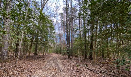 Photo #52 of SOLD property in 9610 Lake Road, Bullock, NC 112.8 acres
