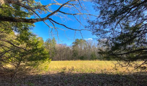 Photo #54 of SOLD property in 9610 Lake Road, Bullock, NC 112.8 acres