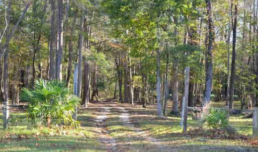 Photo #7 of Off Union School Road, Coward, SC 78.3 acres