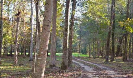 Photo #9 of Off Union School Road, Coward, SC 78.3 acres