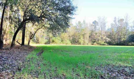 Photo #10 of Off Union School Road, Coward, SC 78.3 acres