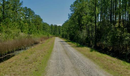 Photo #26 of SOLD property in Off Sandy Point Road , Scranton , NC 15.9 acres