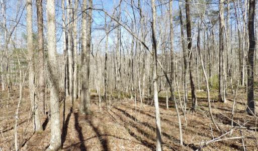 Photo #6 of SOLD property in Jacoby Rd, Louisa, VA 28.9 acres