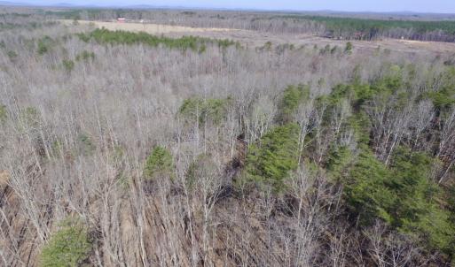 Photo #16 of SOLD property in Jacoby Rd, Louisa, VA 28.9 acres