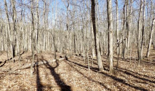 Photo #19 of SOLD property in Jacoby Rd, Louisa, VA 28.9 acres