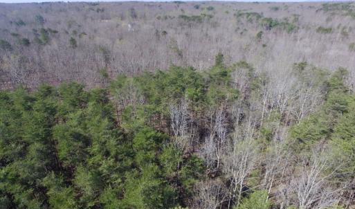 Photo #30 of SOLD property in Jacoby Rd, Louisa, VA 28.9 acres