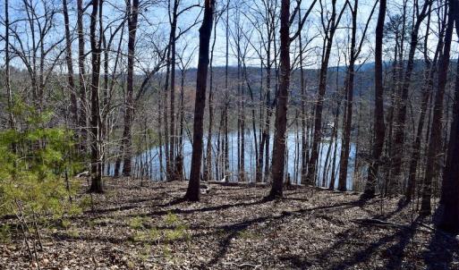 Photo #12 of Water View Ct, Gretna, VA 1.0 acres