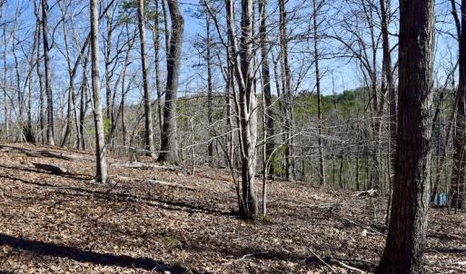 Photo #13 of Water View Ct, Gretna, VA 1.0 acres