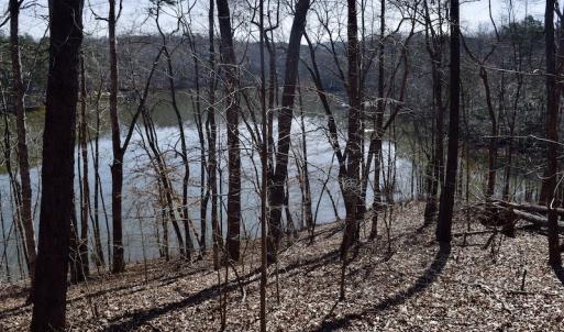 Photo #14 of Water View Ct, Gretna, VA 1.0 acres