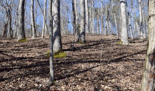 Photo #16 of Water View Ct, Gretna, VA 1.0 acres