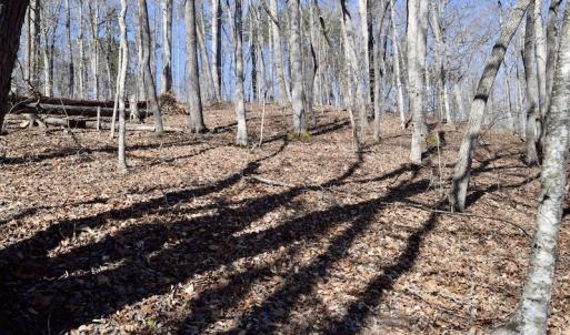 Photo #17 of Water View Ct, Gretna, VA 1.0 acres