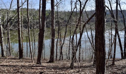 Photo #20 of Water View Ct, Gretna, VA 1.0 acres