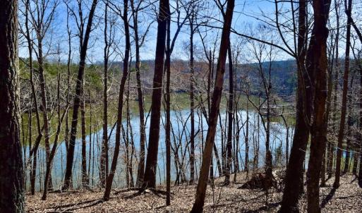 Photo #21 of Water View Ct, Gretna, VA 1.0 acres
