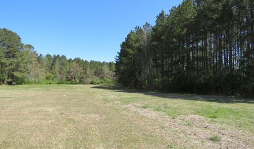 Photo #13 of SOLD property in 422 Hedgpeth Road, Fairmont, NC 12.9 acres