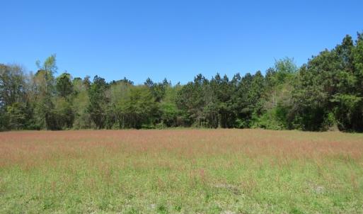 Photo #16 of SOLD property in 392 Hedgpeth Road, Fairmont, NC 15.3 acres