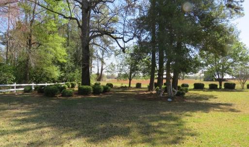 Photo #4 of SOLD property in 392 Hedgpeth Road, Fairmont, NC 15.3 acres