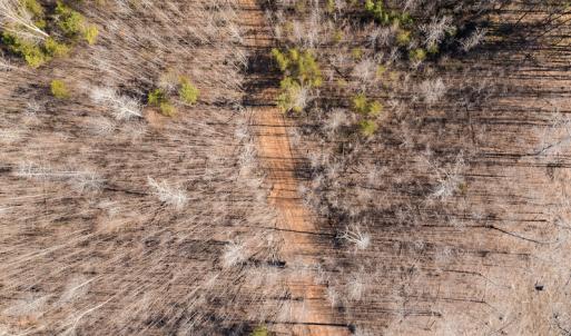 Photo #12 of Lot-17, Pointe Mayo Drive, Roxboro, NC 6.4 acres