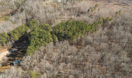 Photo #9 of Lot-B Lake Shore Drive & Lot-38B Oakwood Lane & Lot-17, Pointe Mayo Drive, Roxboro , NC 31.1 acres