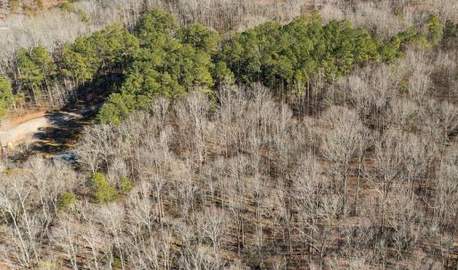 Photo #10 of Lot-B Lake Shore Drive & Lot-38B Oakwood Lane & Lot-17, Pointe Mayo Drive, Roxboro , NC 31.1 acres
