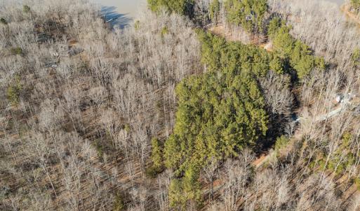 Photo #13 of Lot-B Lake Shore Drive & Lot-38B Oakwood Lane & Lot-17, Pointe Mayo Drive, Roxboro , NC 31.1 acres
