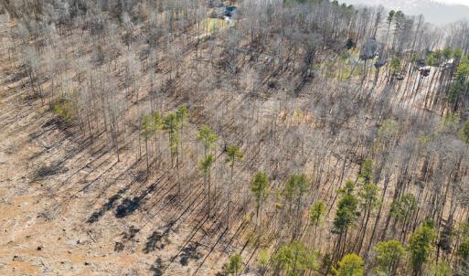 Photo #15 of Lot-B Lake Shore Drive & Lot-38B Oakwood Lane & Lot-17, Pointe Mayo Drive, Roxboro , NC 31.1 acres