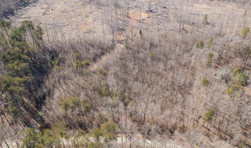 Photo #3 of Lot-B Lake Shore Drive & Lot-38B Oakwood Lane & Lot-17, Pointe Mayo Drive, Roxboro , NC 31.1 acres