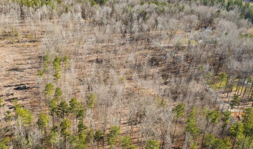 Photo #16 of Lot-B Lake Shore Drive & Lot-38B Oakwood Lane & Lot-17, Pointe Mayo Drive, Roxboro , NC 31.1 acres