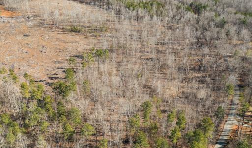 Photo #17 of Lot-B Lake Shore Drive & Lot-38B Oakwood Lane & Lot-17, Pointe Mayo Drive, Roxboro , NC 31.1 acres