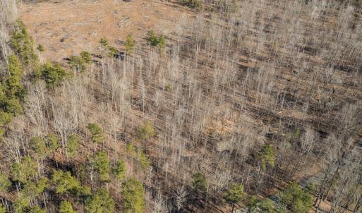 Photo #18 of Lot-B Lake Shore Drive & Lot-38B Oakwood Lane & Lot-17, Pointe Mayo Drive, Roxboro , NC 31.1 acres