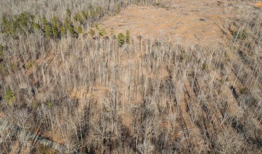Photo #19 of Lot-B Lake Shore Drive & Lot-38B Oakwood Lane & Lot-17, Pointe Mayo Drive, Roxboro , NC 31.1 acres